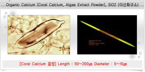 Organic Calcium(Coral Calcium,Algae Extract Powder),SiO2(̻ȭԼ)